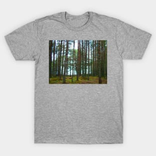 A walk in the woods T-Shirt